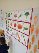 ilustracja do wpisu 
Uczymy się o warzywach i owocach